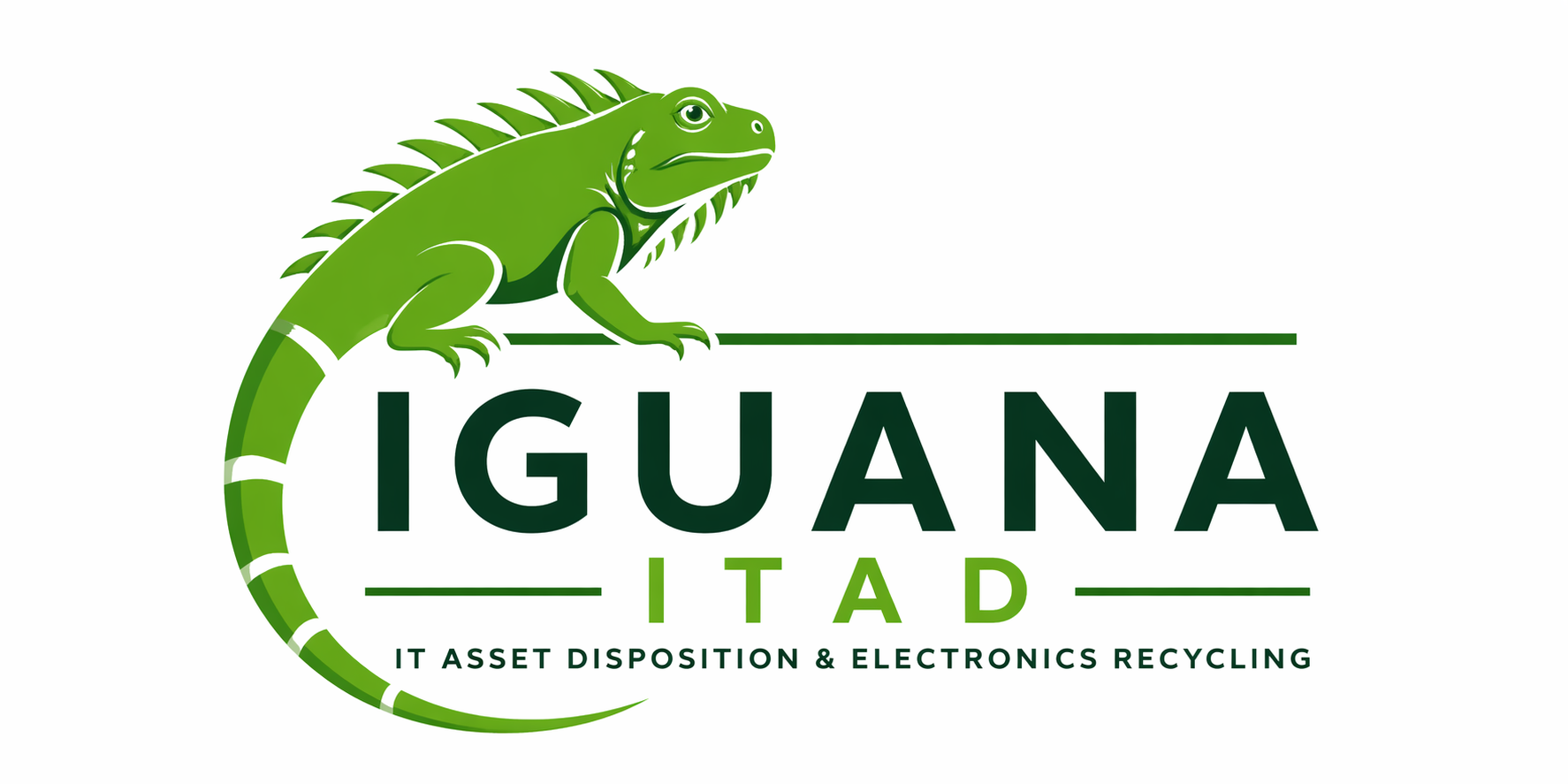 Iguana ITAD Logo